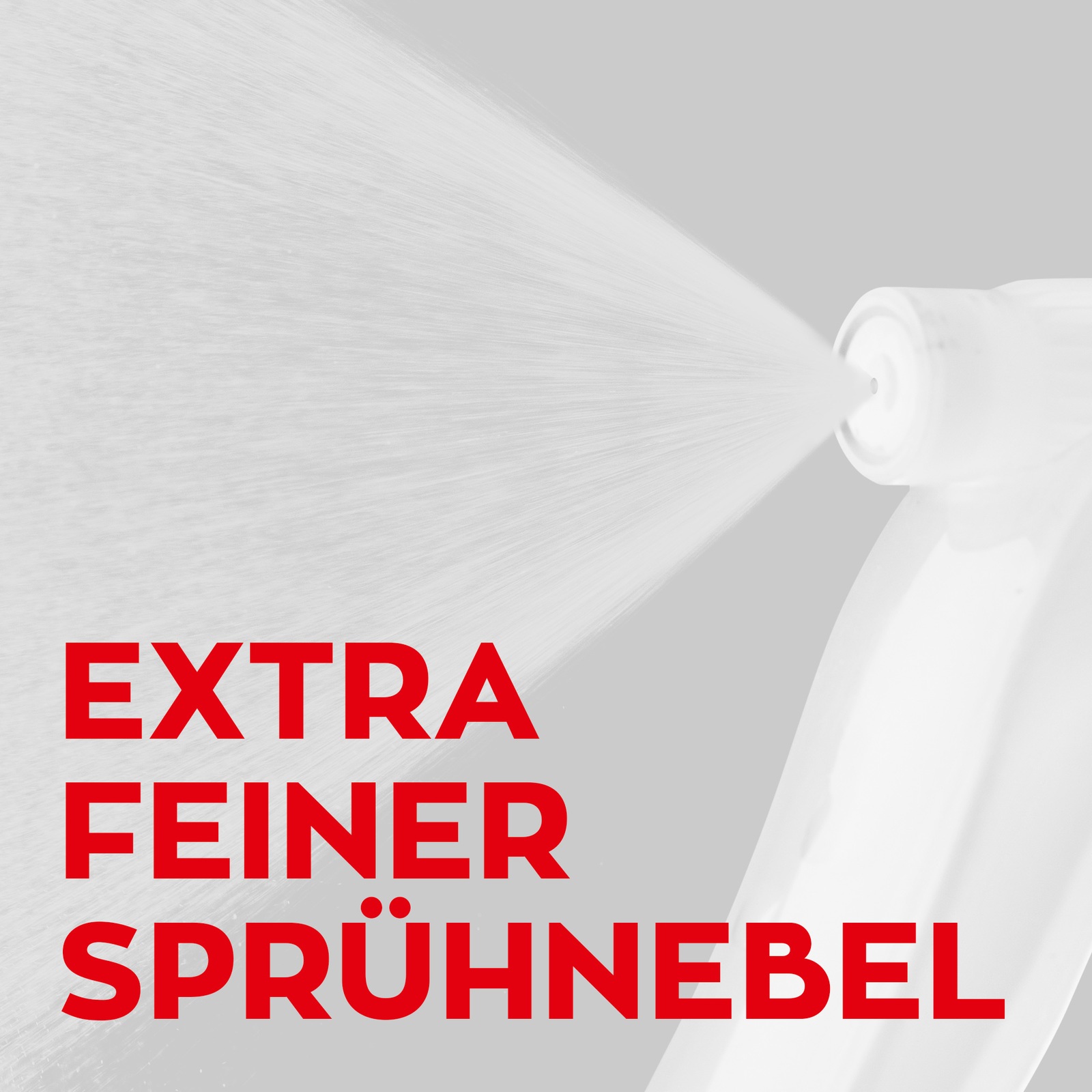 NoBug Marderabwehr Spray 500ml - Marderschutz für Auto & Dachboden -  Marderspray mit Sofort- & Langzeit-Wirkung - Marderschreck Auto - Effektiv  gegen Marder : : Auto & Motorrad