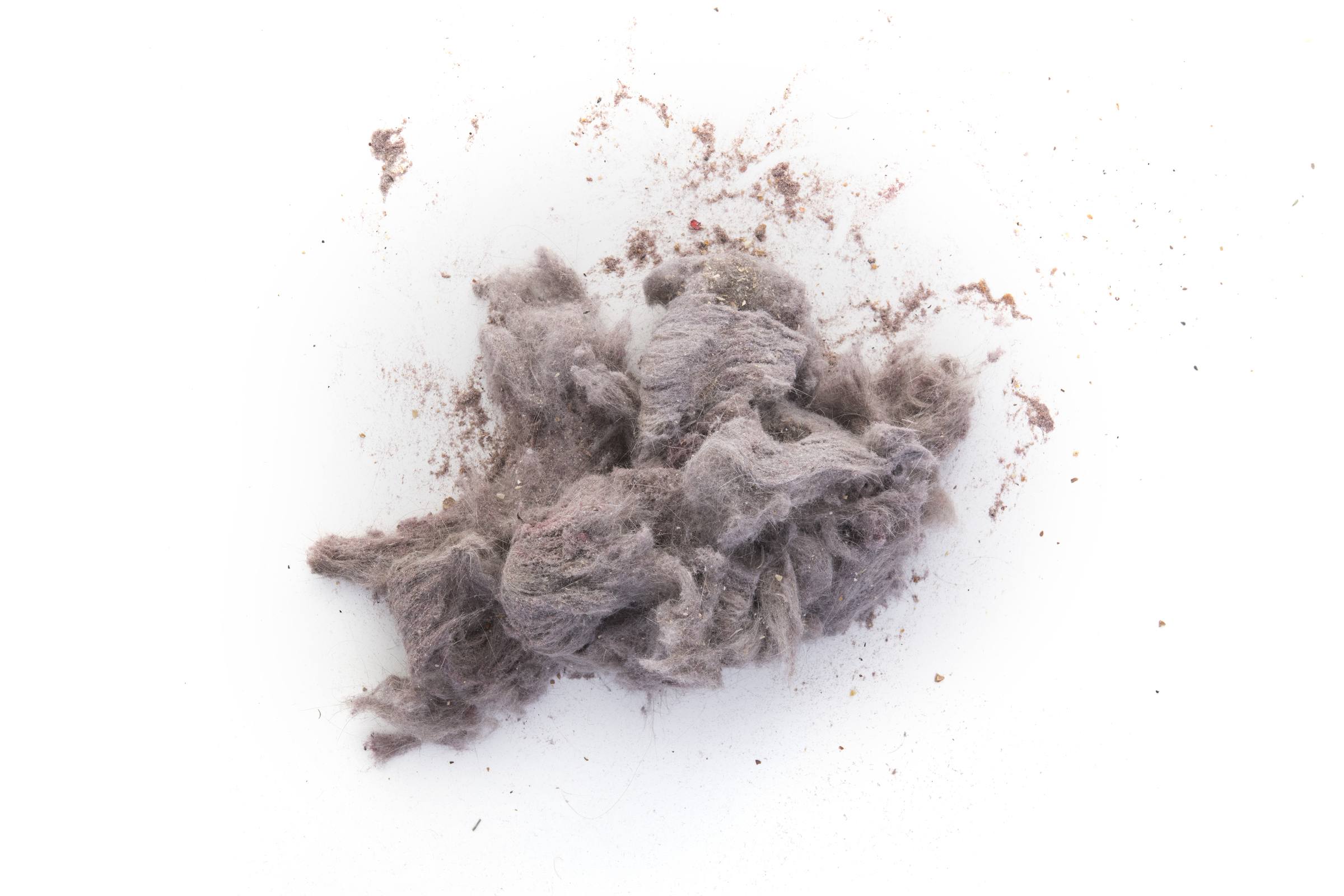 dust heap garbage on white background Staub