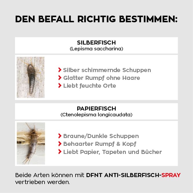 Vergleich Silberfisch Papierfisch