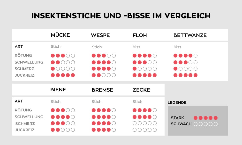 Insektenstiche und -bisse in der Übersicht