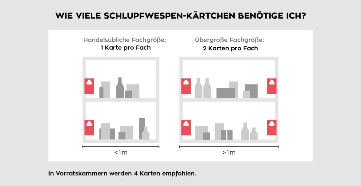 Schlupfwespen Anleitung