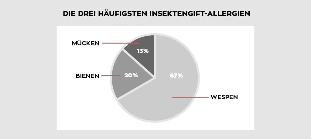 Die häufigsten Insektengift-Allergien