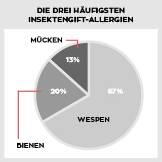 Die häufigsten Insektengift-Allergien