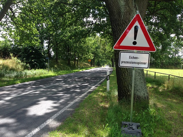 Warnung vor Eichenprozessionsspinnern