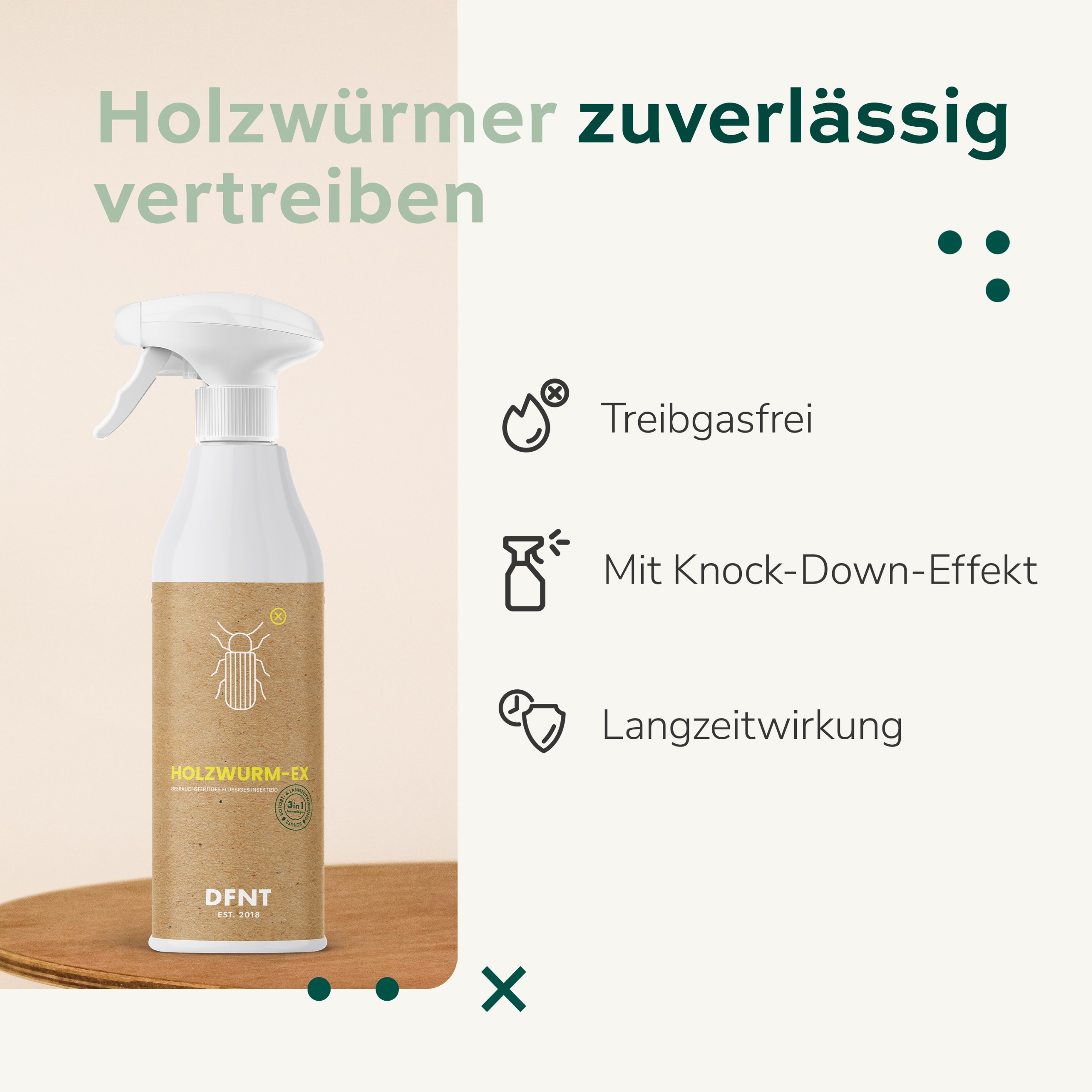 Contura Holzwurmtod Set Sprühflasche Dosen Kanister Holzschutz Holzwurm Ex  Holzwurmmitell Käfer